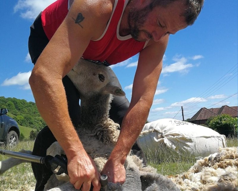 Shearing contractor Ian Lucas described this season as 'very testing at times'