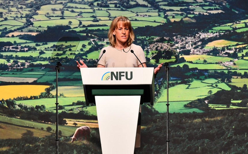 NFU President Minette Batters says there will be 'challenges to overcome' next year