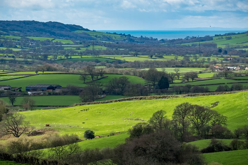 Numerous leading figures in the UK farming industry have been recognised