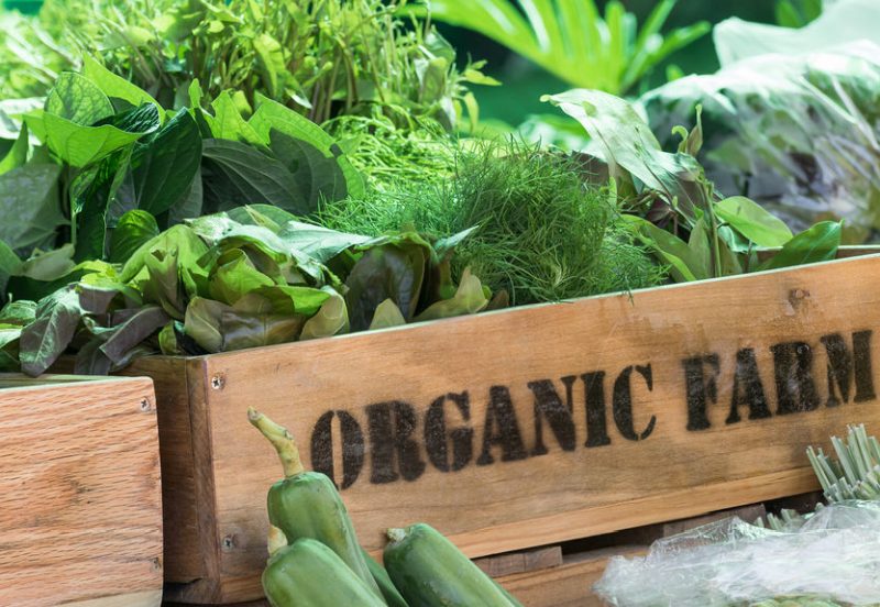 Despite recent growth rates, organic still remains a small part of the market