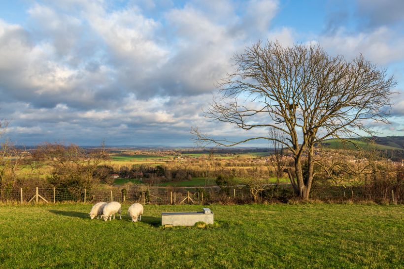 Farmers are 'key workers' whose children can still go to school despite them being closed for most families