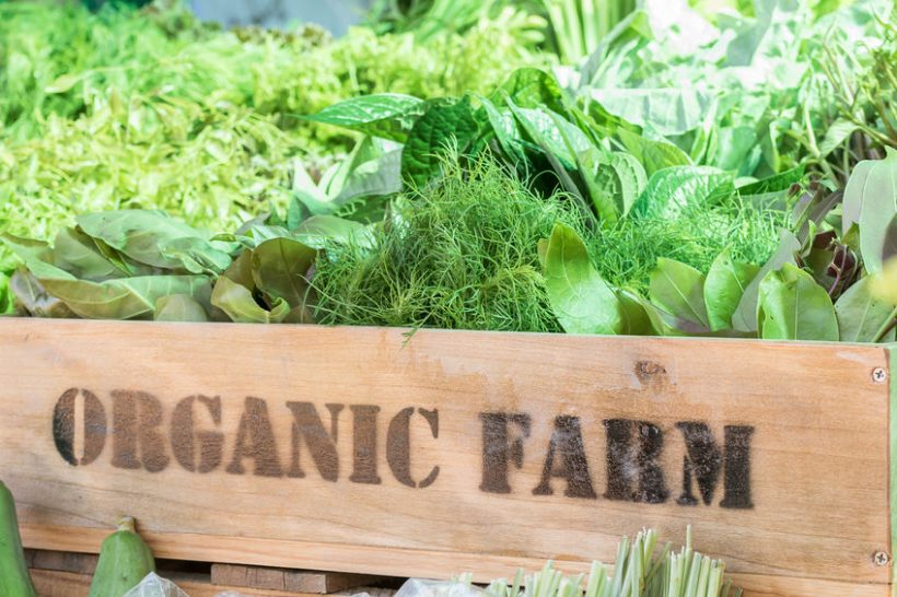 The UK is the world’s ninth largest organic market, figures show