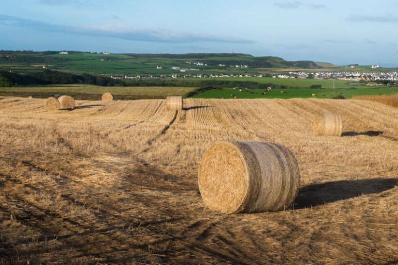 There are a number of tax implications to consider when buying a farm or farmland