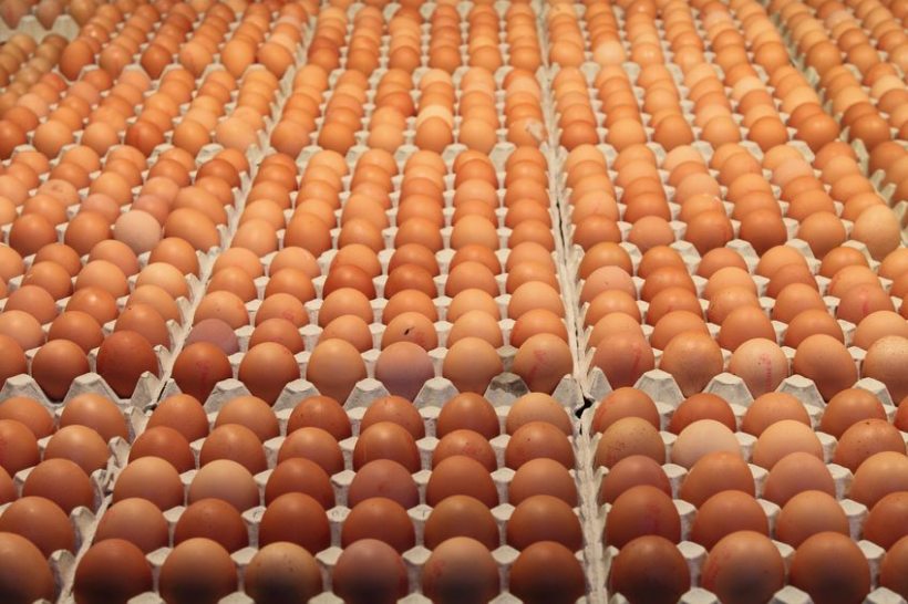 Producers face the reality of having to throw away perfectly edible eggs as demand declines