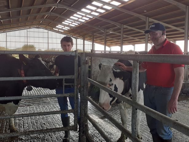 An urgent appeal has been launched to save a small dairy farm (Photo: GoFundMe)