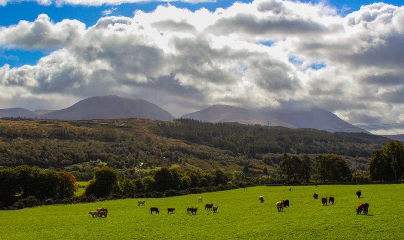 The scheme promotes land management practices which protect Scotland's natural heritage