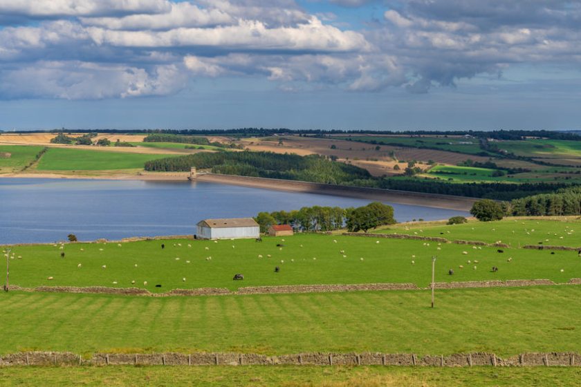 The farming industry has seen a leap in public trust since the start of the pandemic