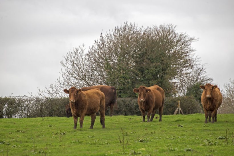 Farmers have been told to remain vigilant and to keep using the tests available to monitor the situation