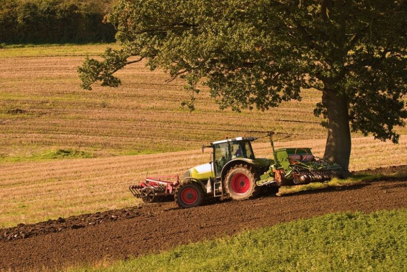 There is no single lifespan of the world’s soils, according to the Oxford University scientist