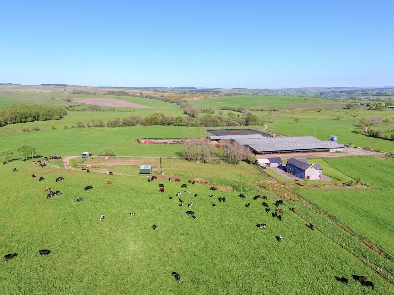 The farm lies within a favoured farming district close to both Brampton and Carlisle (Photo: Edwin Thompson)