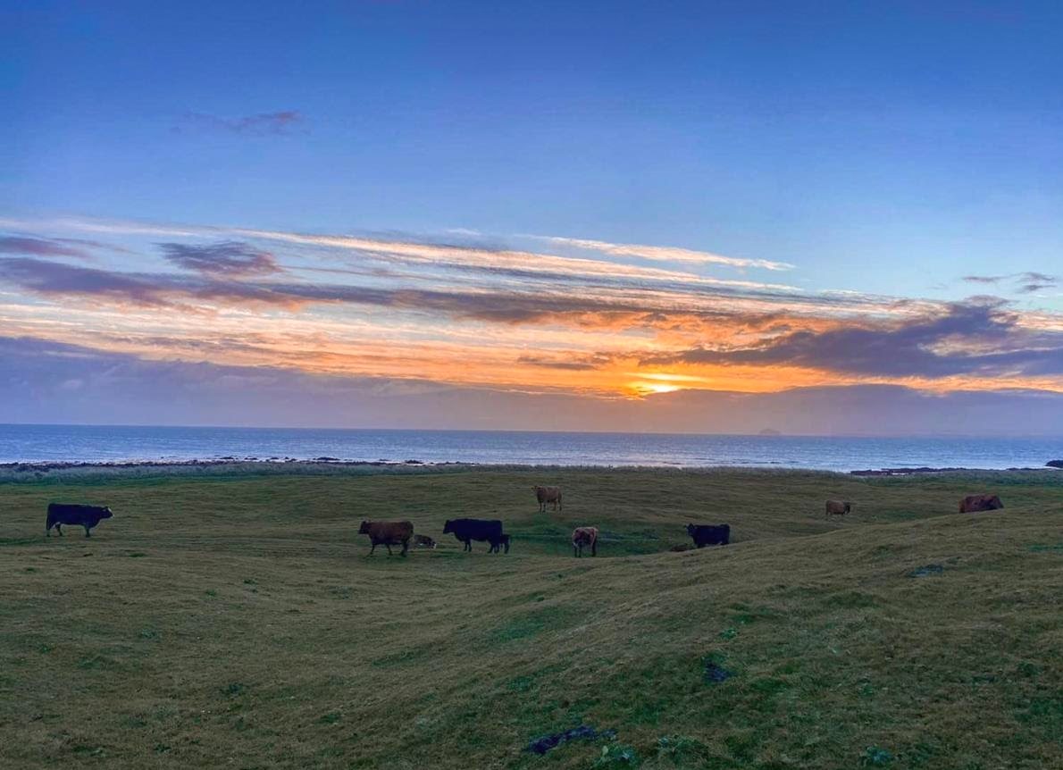 The farm is situated on the east coast of Scotland, in Fife