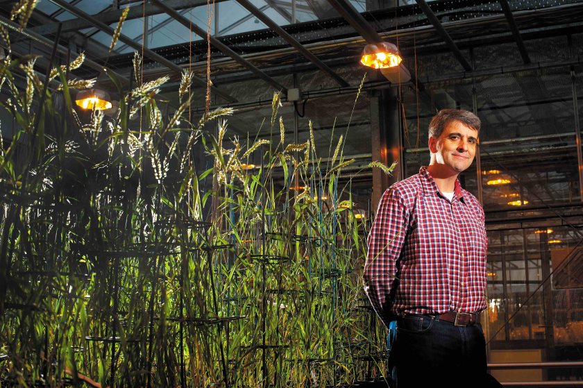 Professor Malcolm Bennett is a plant scientist from the University of Nottingham