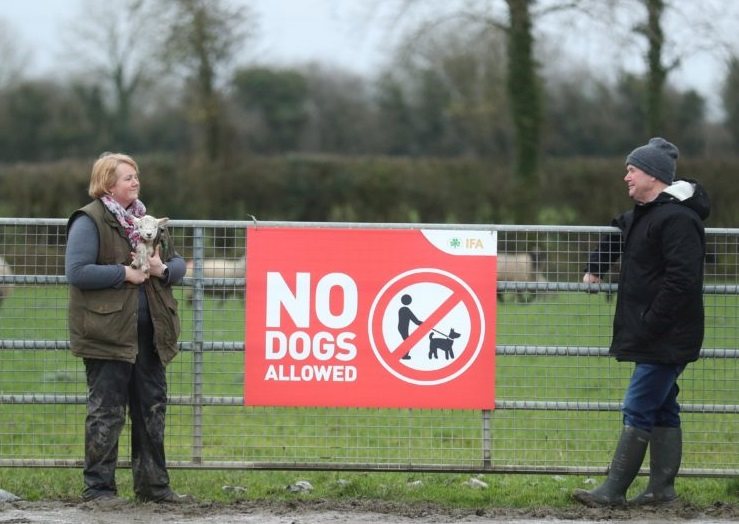 Ireland, like the UK, has seen a significant increase in attacks in recent months (Photo: Irish Farmers Association)