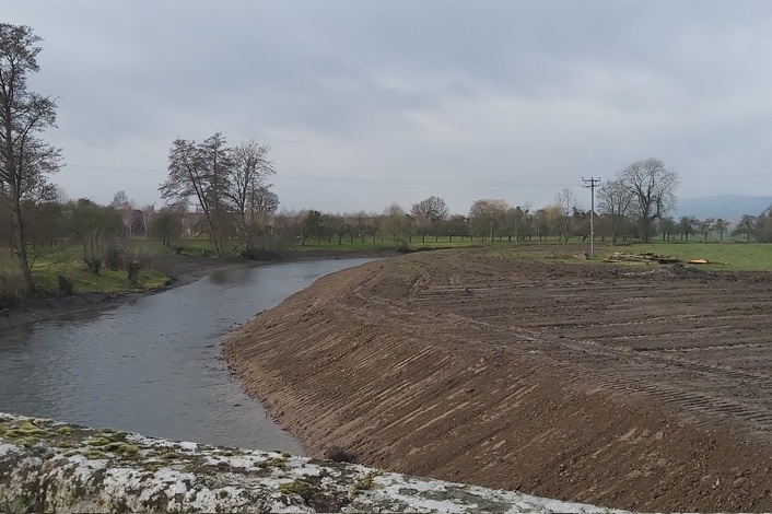 The Forestry Commission says no further action will be taken (Photo: Herefordshire Wildlife Trust)