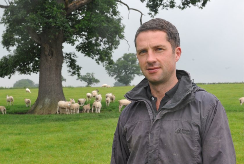 Sheep producer David Lewis has shared his experiences of lambing ewe lambs