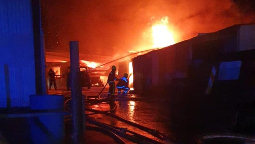 All livestock were moved to safety before crews arrived (Photo: Burnham-on-Sea Fire Station)