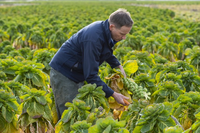 Waitrose says it wants to help tackle UK food poverty 'right from the farm'