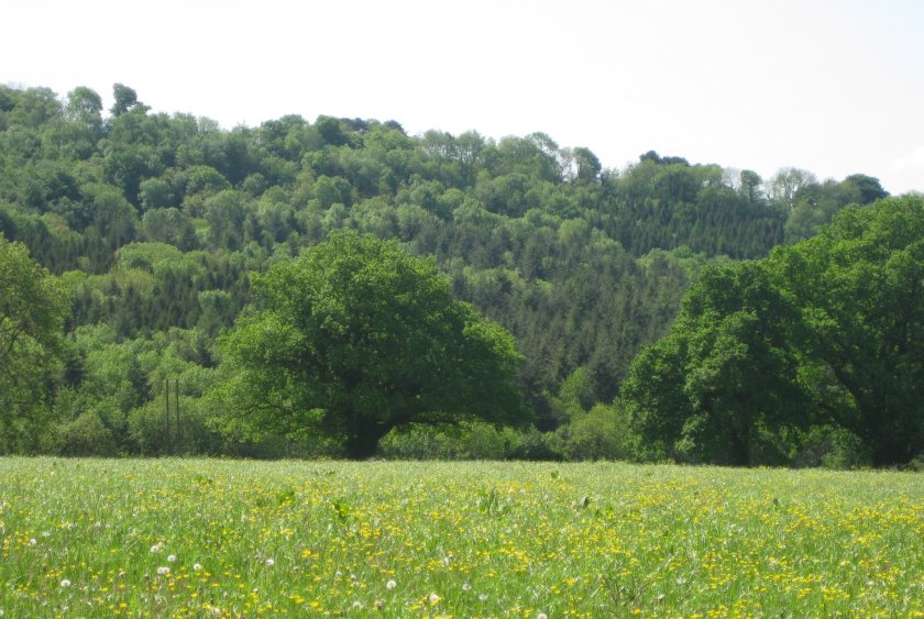 Welsh government should ask farmers to complete their own environmental plans, a poll suggests