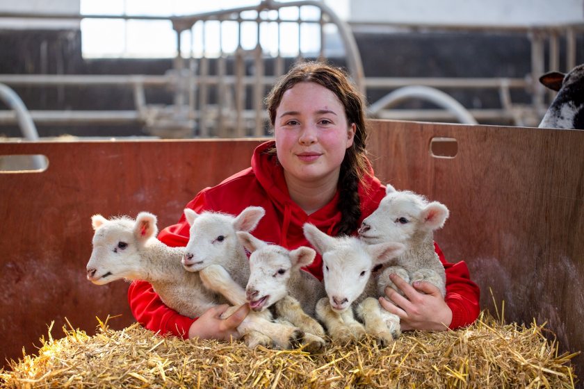 All five lambs weighed about 3.5kg each, Hartpury said