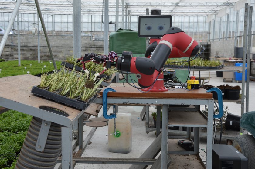 Developments in automation have helped reduce growers' reliance on labour