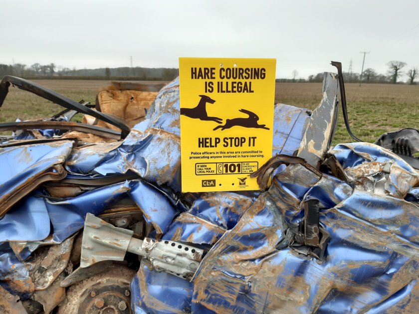 Reports of hare coursing have been increasing in recent years