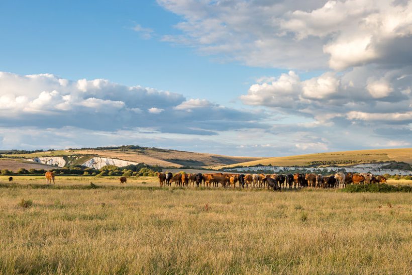 Two important UK farming sectors are likely to be impacted by climate change in the next few decades