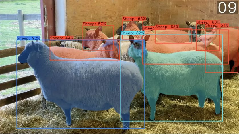 The facial recognition technology can identify animals from all angles