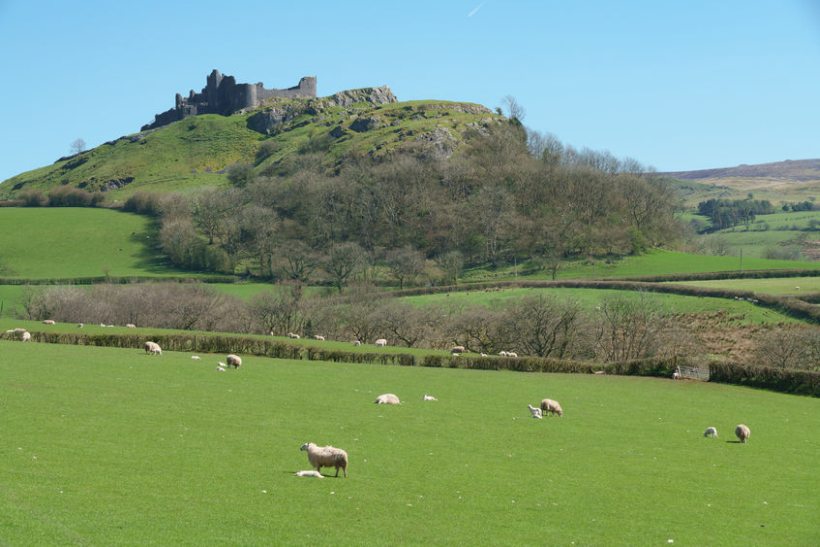 The Welsh countryside may see an increase in forest cover due to the effect of Brexit on sheep farming