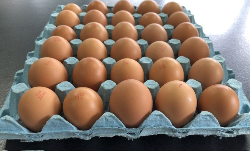 Egg demand has led retailers to draw on the surplus of medium eggs from the closure of the hospitality sector