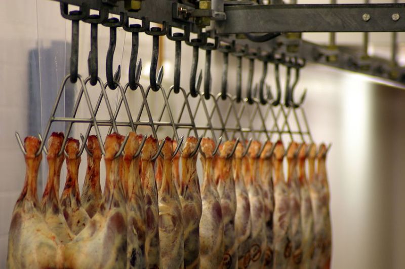 Over 86% of lamb carcases processed at Welsh abattoirs reached the top three specification grades in 2020