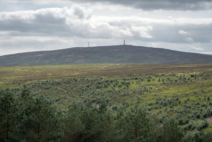 Buccleuch has sold around 30,000 acres of land during the last decade to farmers and community organisations