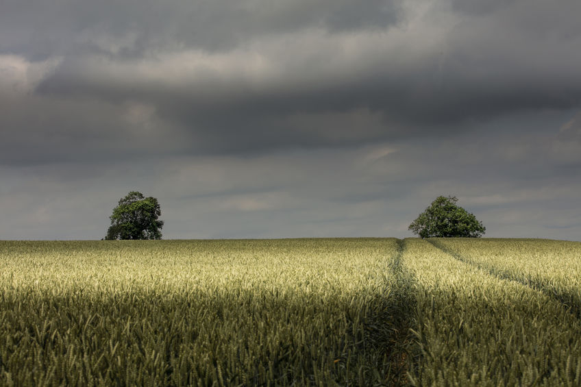 Both short and mid-term confidence for farming businesses has remained negative since 2018