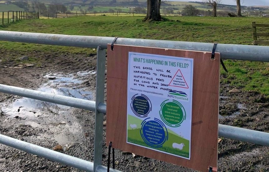 The free posters ask the public to 'enjoy responsible access'