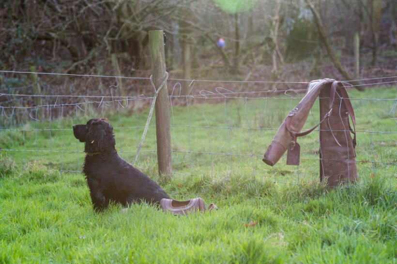 Landowners and gamekeepers looking to brush up on their skills can now apply for places on the course