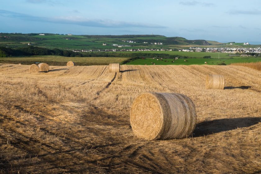 Total Gross Output for the region's farming industry was 4% higher last year