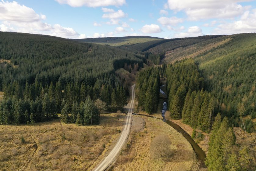 The launch of the forests comes at a time of continued buoyancy in the commercial forestry sector