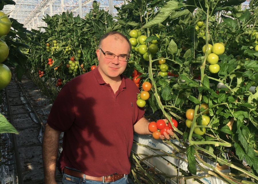 The Shanks' family farm now have a high performing biogas plant and a 4-acre glasshouse