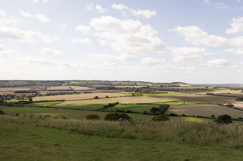 Thousands of agricultural jobs could disappear as the government phases out BPS, Labour warns