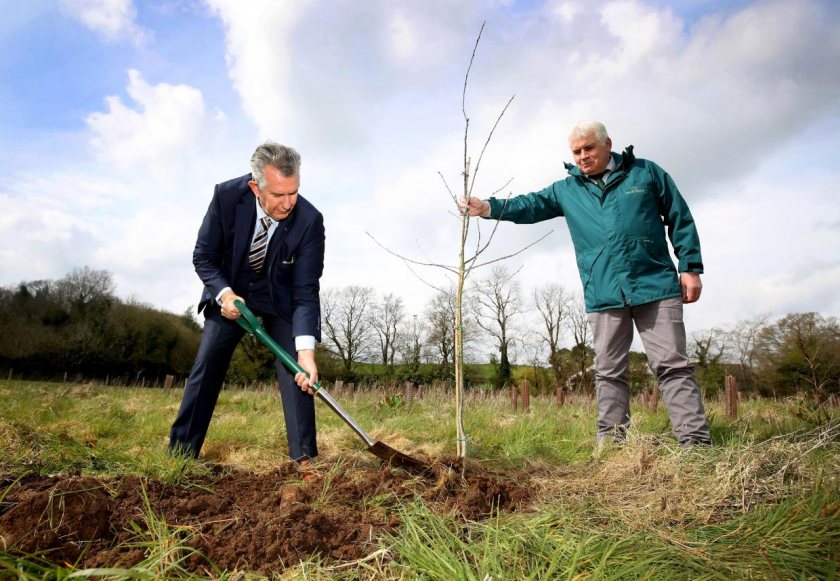 Edwin Poots, NI's farming minister, planted an oak tree in commemoration of the life of the Duke of Edinburgh