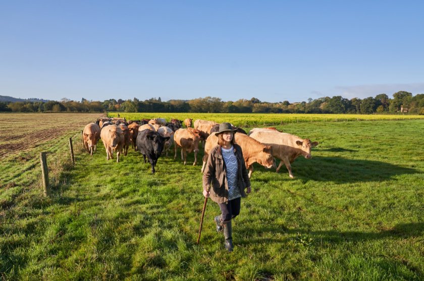 Figures show that UK beef boasts a carbon footprint of just less than half the global average (Photo: Ladies in Beef)