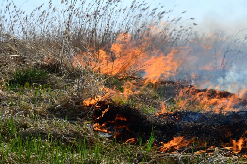 Wildfires have the capability to devastate farmland, wildlife and protected habitats