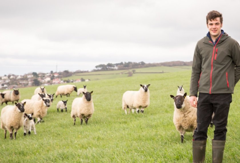 Farmer to finish lambs on herbal leys after seeing benefits FarmingUK