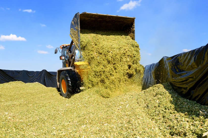 Farmers are being urged to check their silage clamp ahead of the first cut of the season