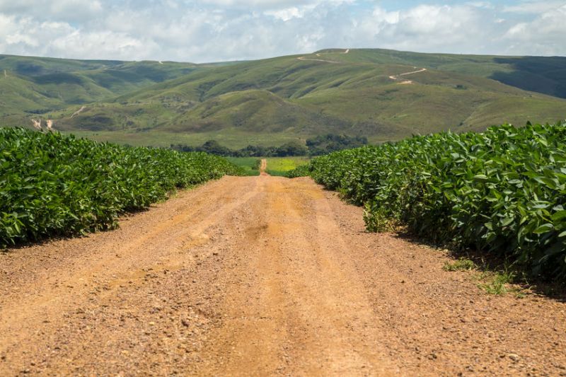 UK farming groups say the soya sourced from Brazil must be sustainably produced