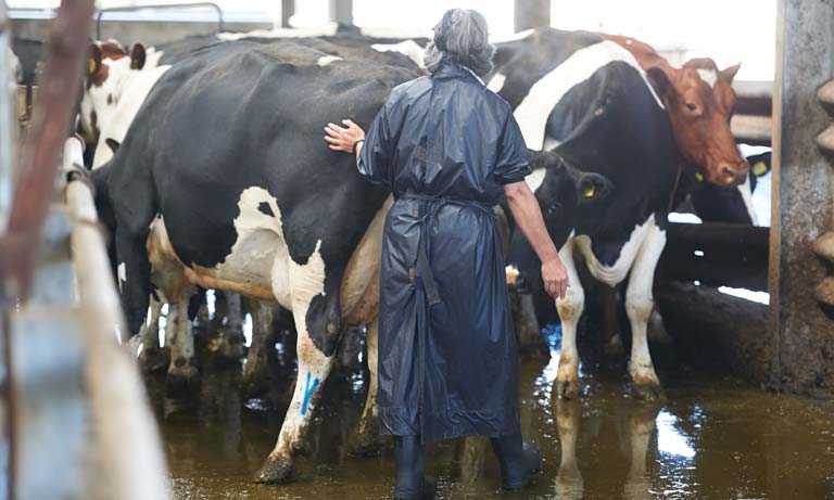 MPs warn that farmers have been 'placed at the bottom' of the government's priorities list (Photo: BVA)