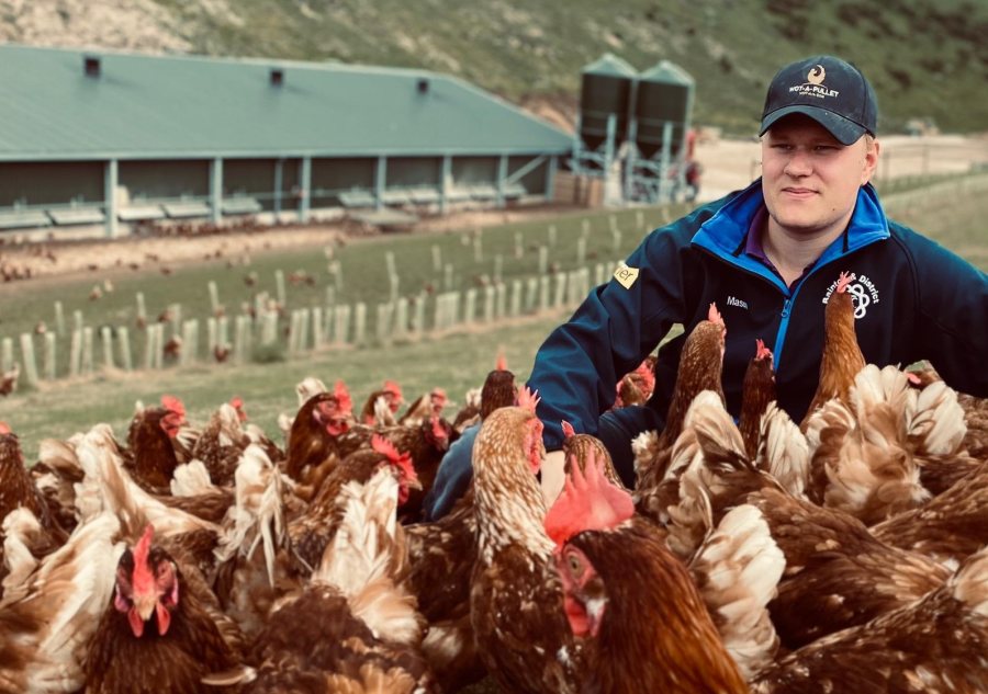 In 2019, Henry Mason built the family farm's first 32,000 bird house and last year completed their second