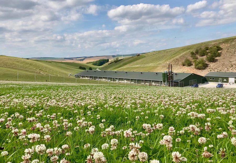 Henry has been looking at ways to reduce the family farm's carbon footprint
