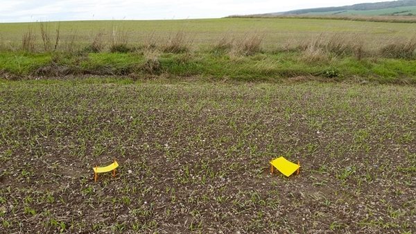As part of the study, farmers were equipped with yellow sticky traps, mounted horizontally just above the crop
