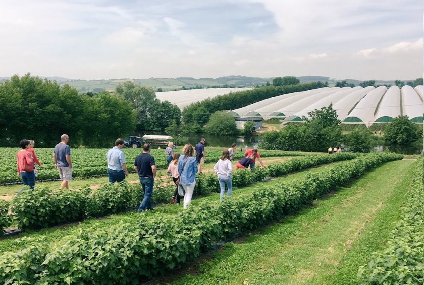 For this year, the trend will be for smaller events, according to LEAF (Linking Environment And Farming)