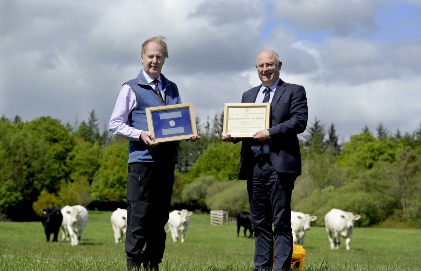 Alasdair Houston runs the Gretnahouse herd, one of the most influential in the national Charolais herdbook